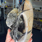 Septarian Freeform