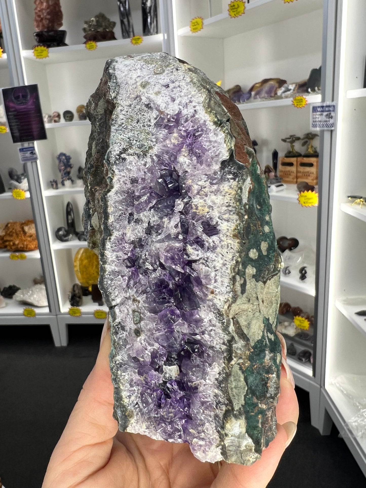 Amethyst Cluster Specimen