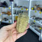 Trilobite Fossil