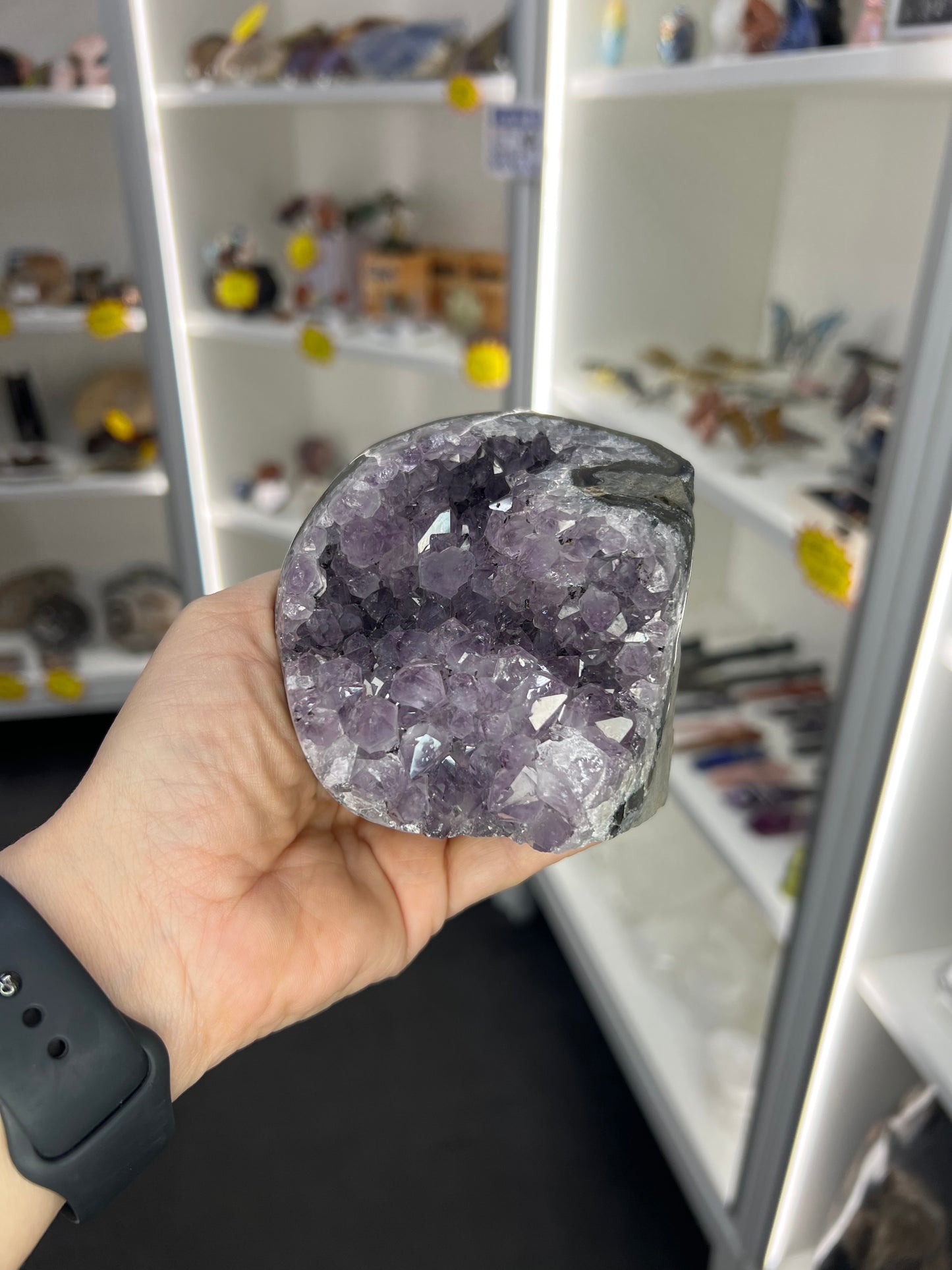 Amethyst Cluster Specimen