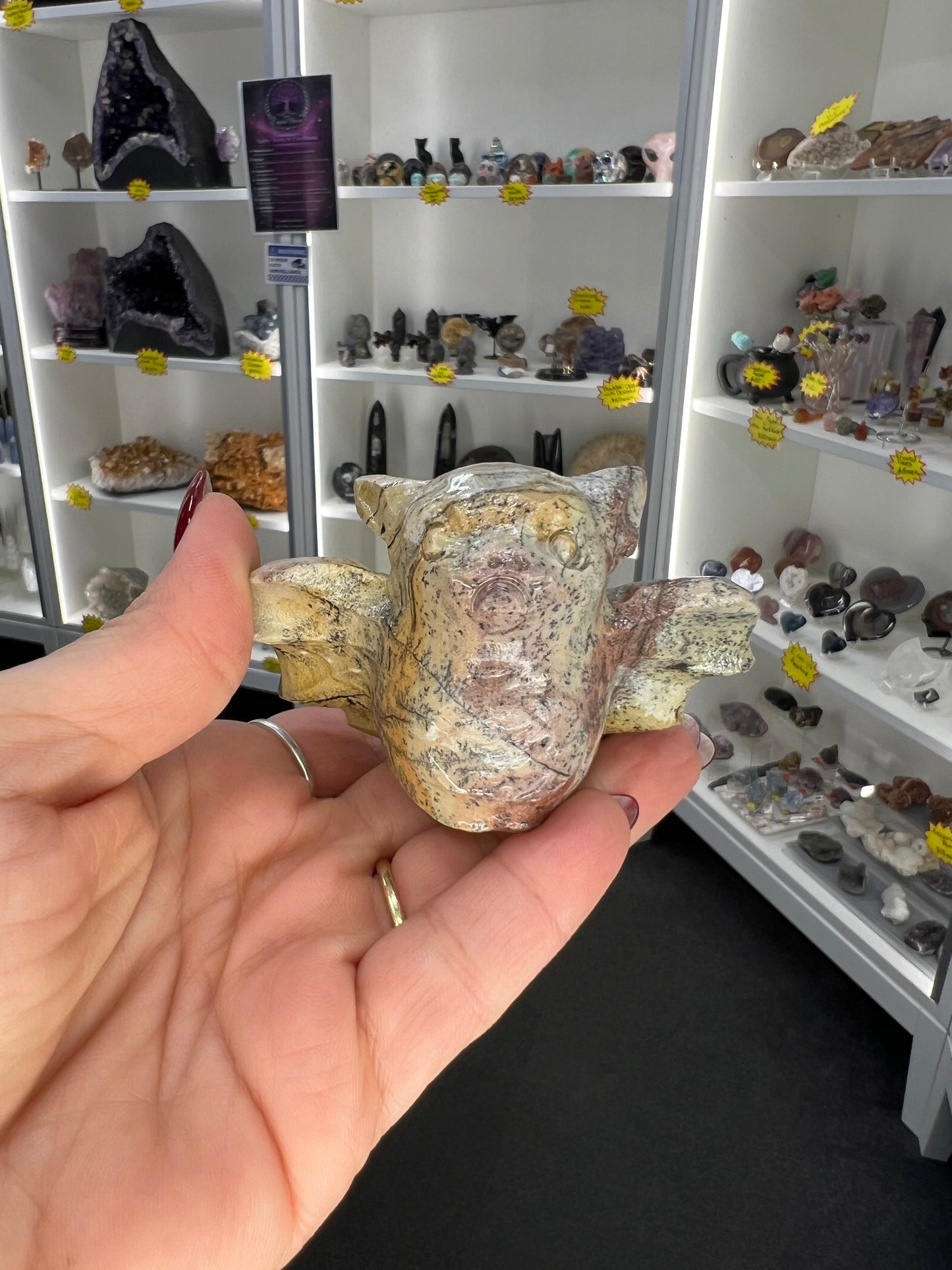 Picture Jasper Bat