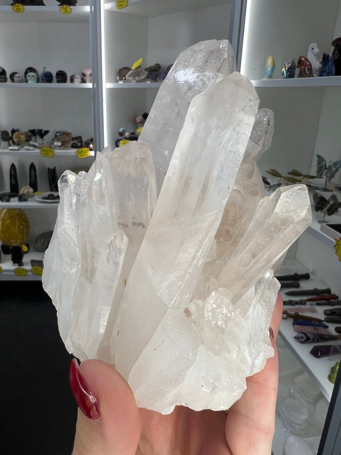 Clear Quartz Cluster