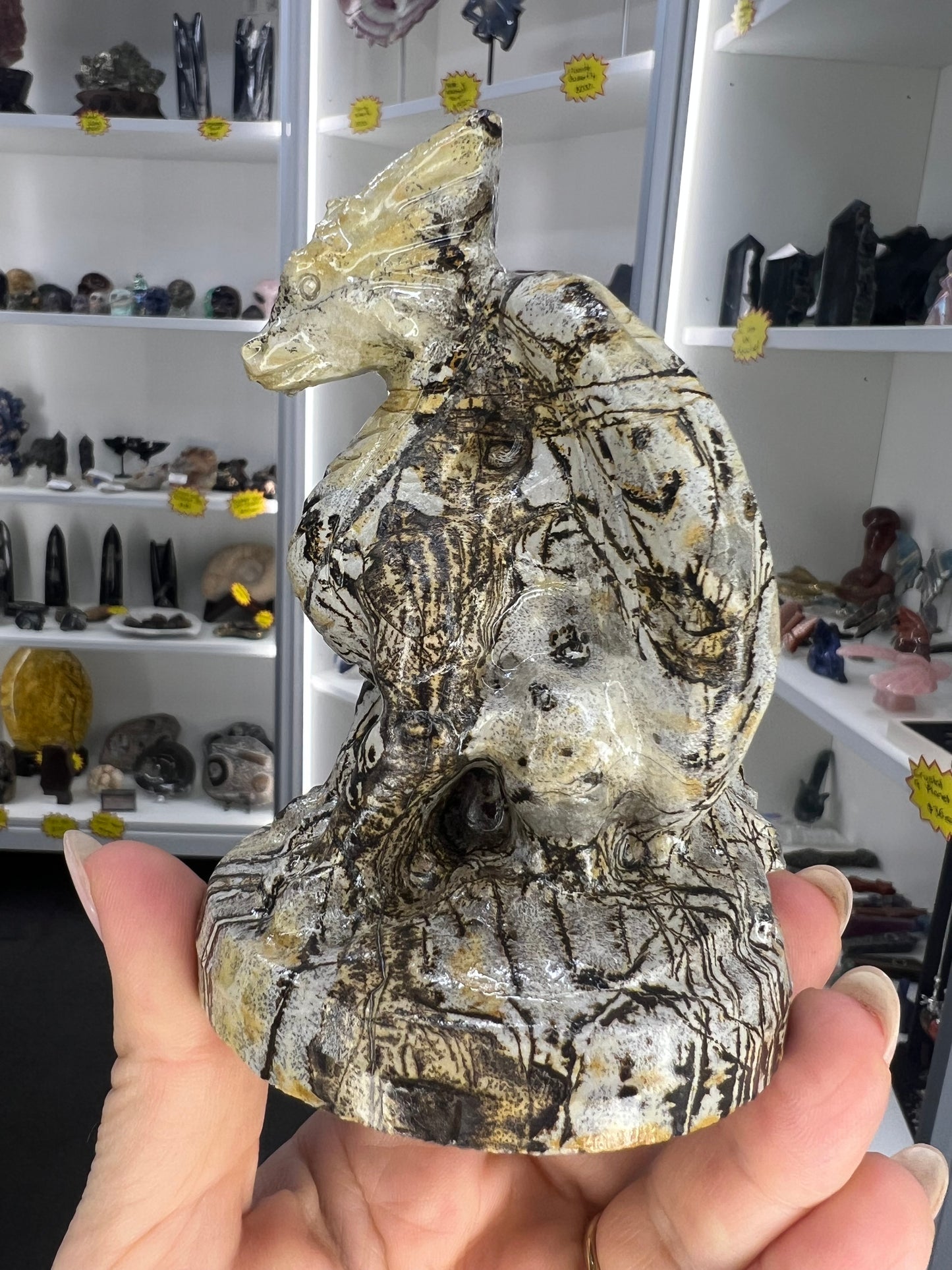 Picture Jasper Dragon