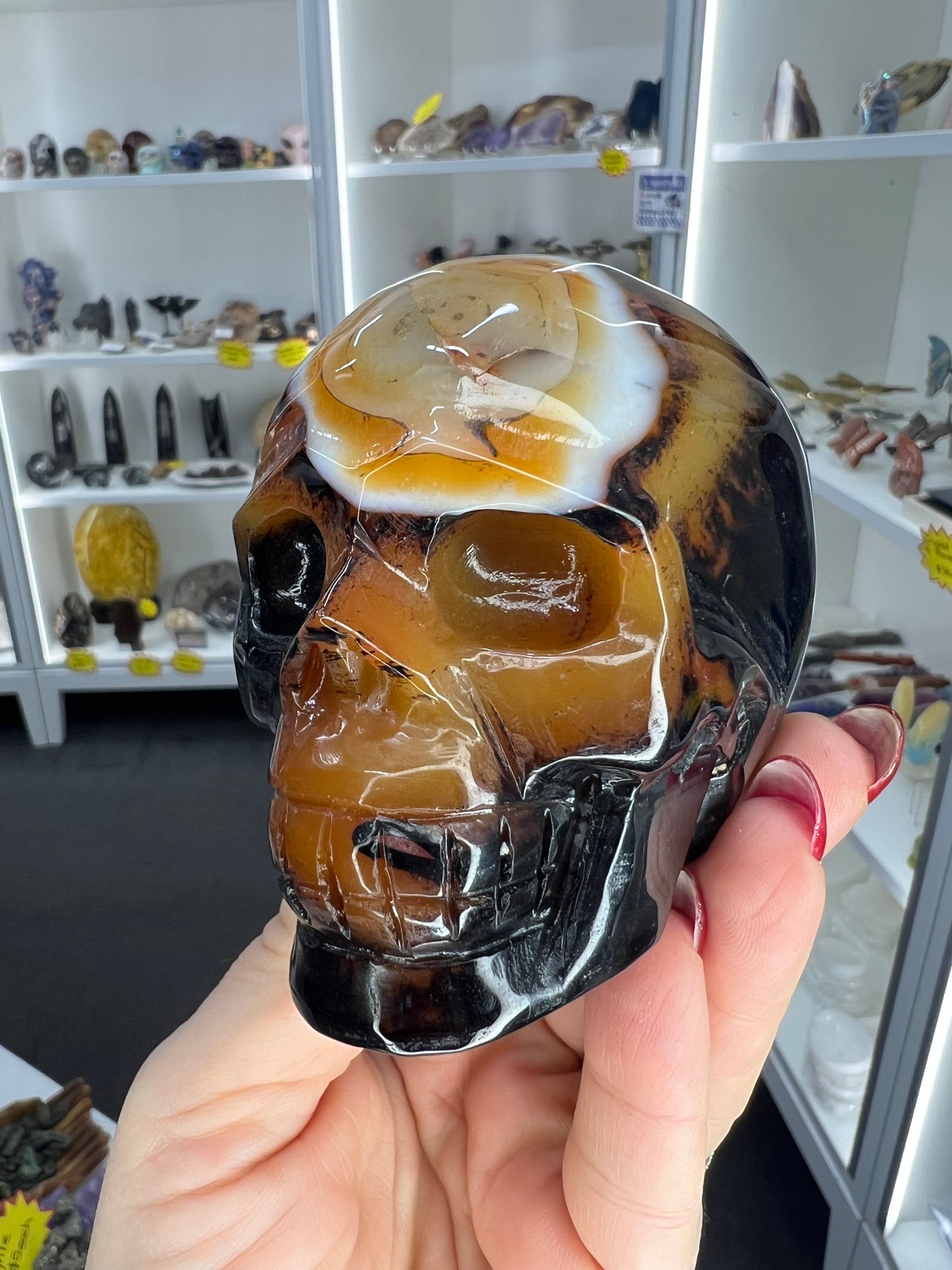 Sardonyx Skull