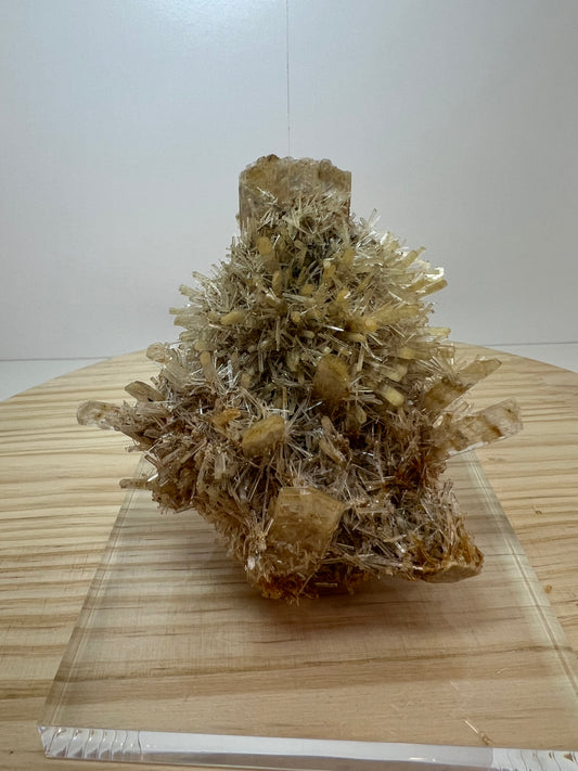 Gypsum / Selenite Specimen