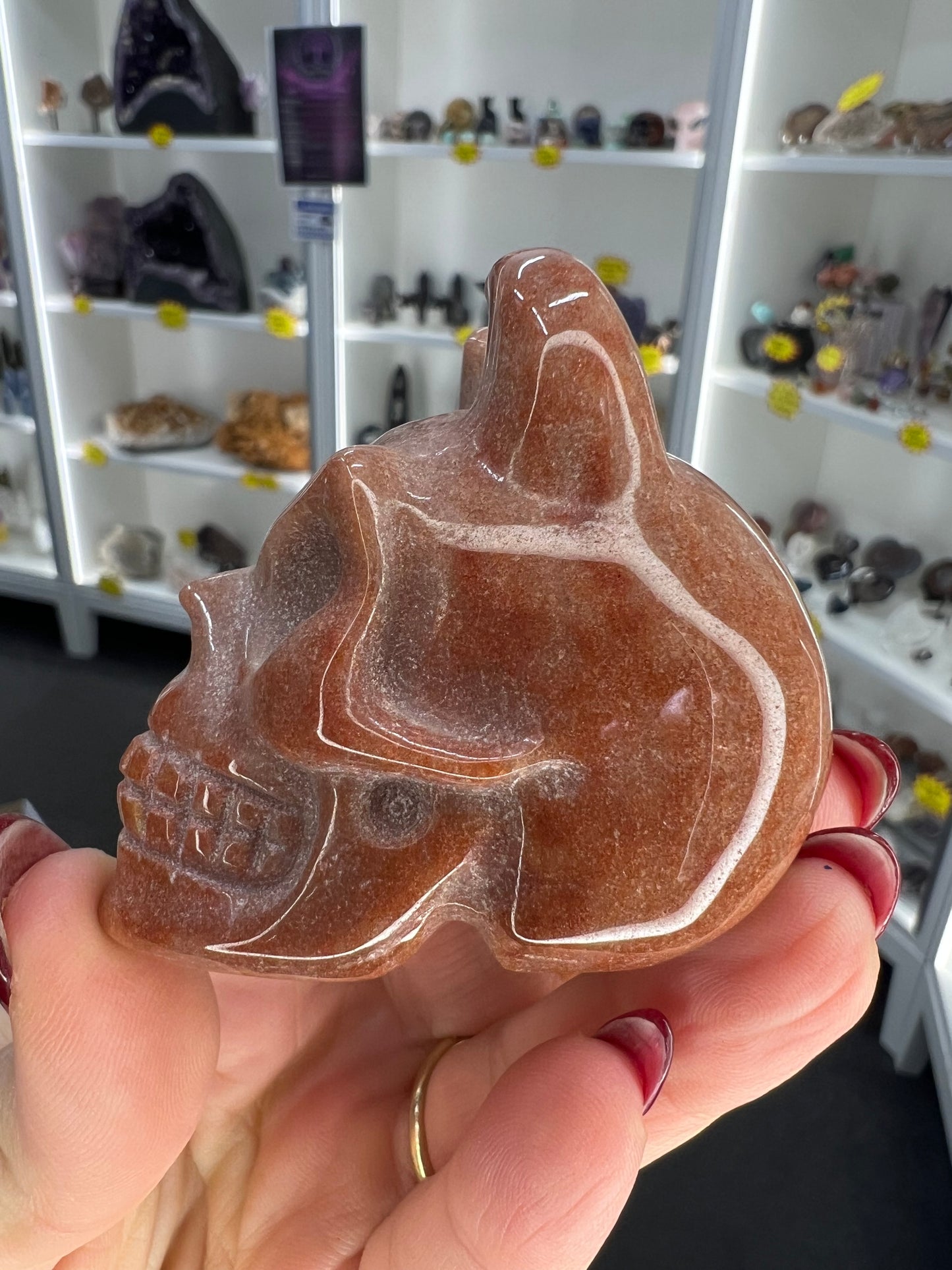 Ocean Jasper Skull with Horns