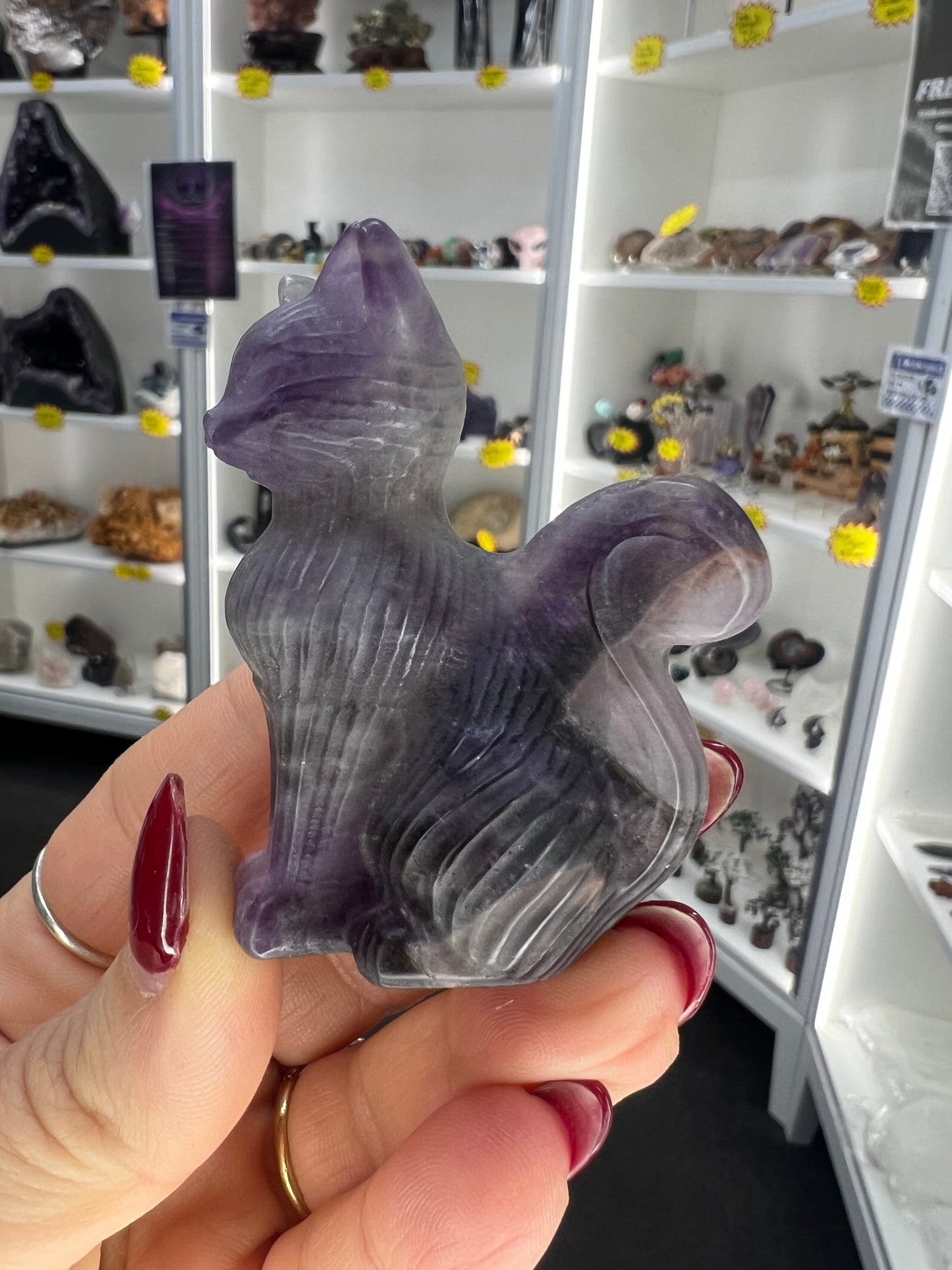 Chevron / Dream Amethyst Cat