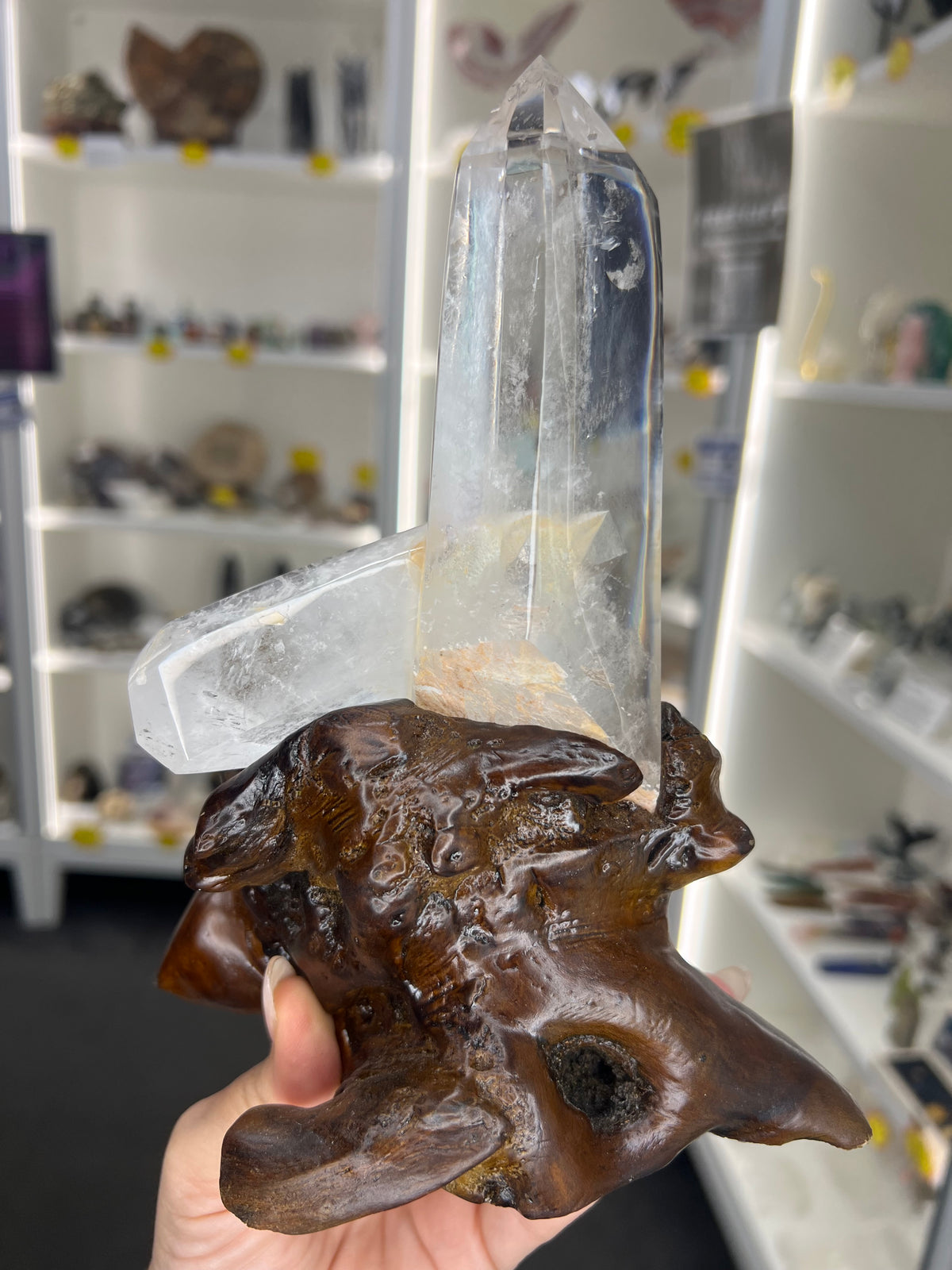 Clear Quartz Cluster Points on Wooden Stand
