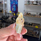 Caribbean Calcite Dinosaur Head