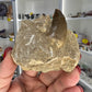 Monasaur Tooth in Matrix