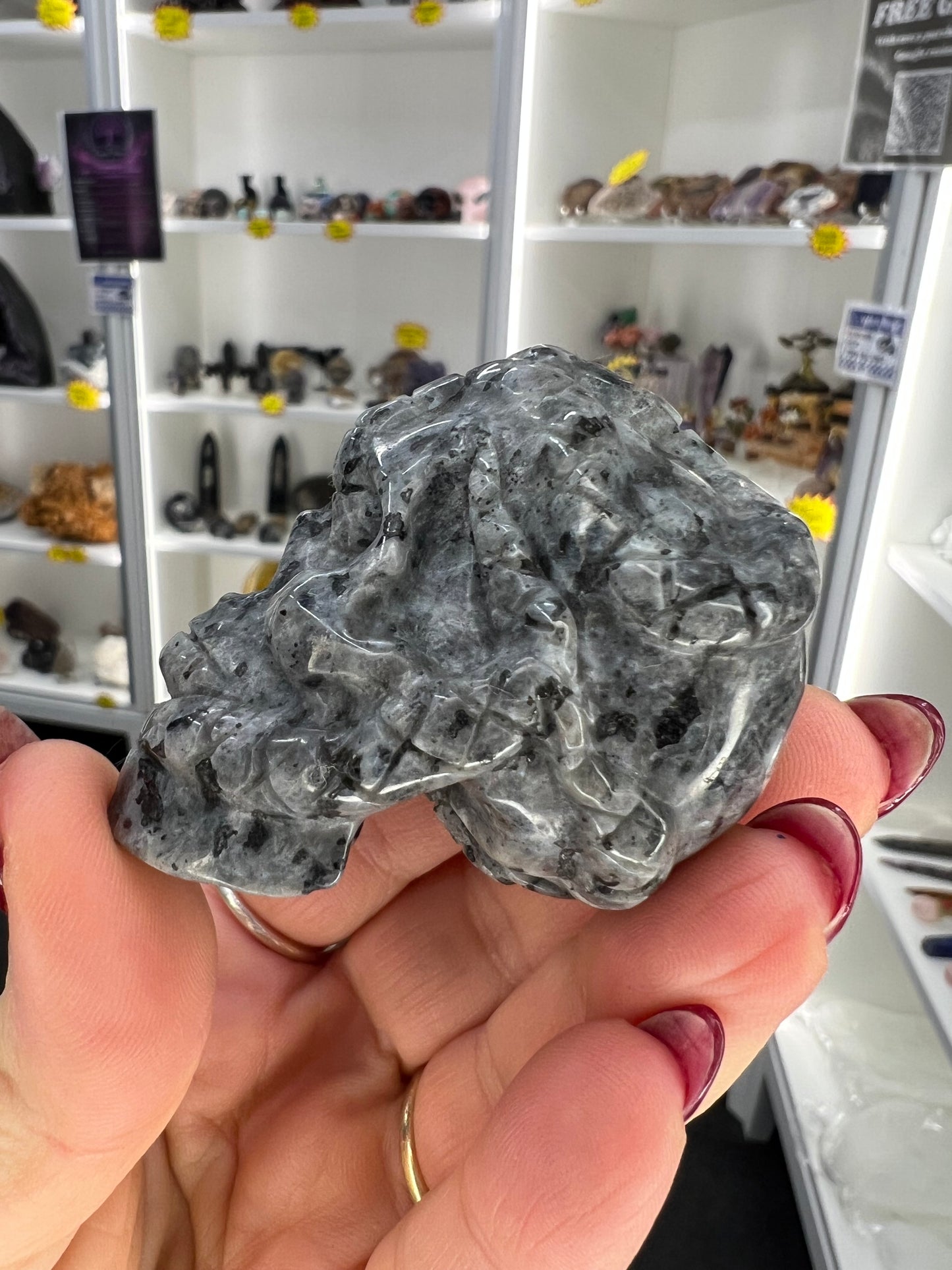 Larvikite Skull with Snake