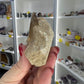 Monasaur Tooth in Matrix