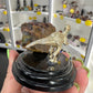 Boulder Opal with Dinosaur