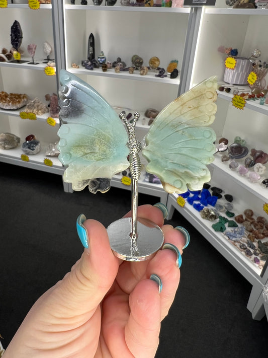 Caribbean Calcite Butterfly