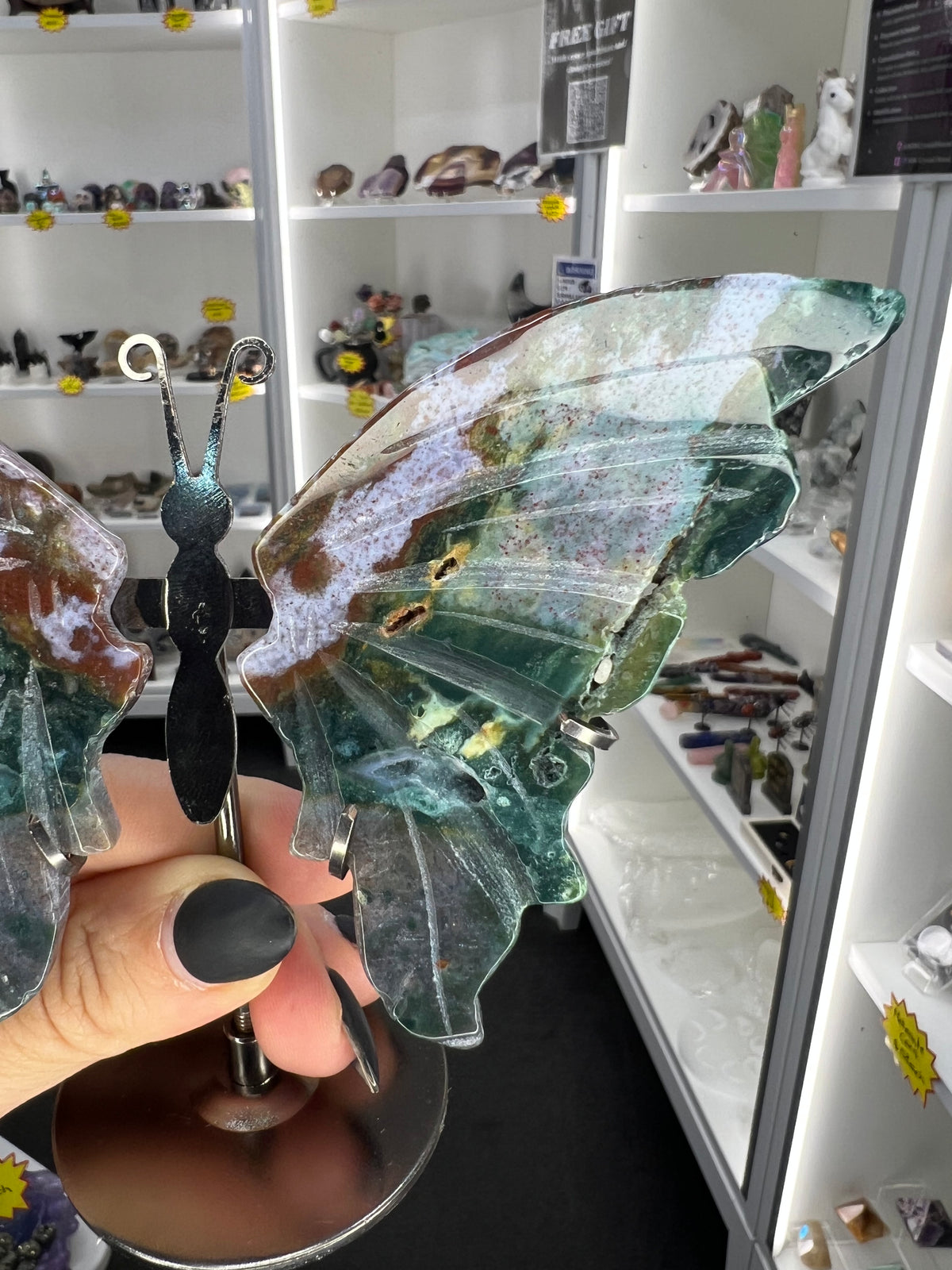 Ocean Jasper Butterfly