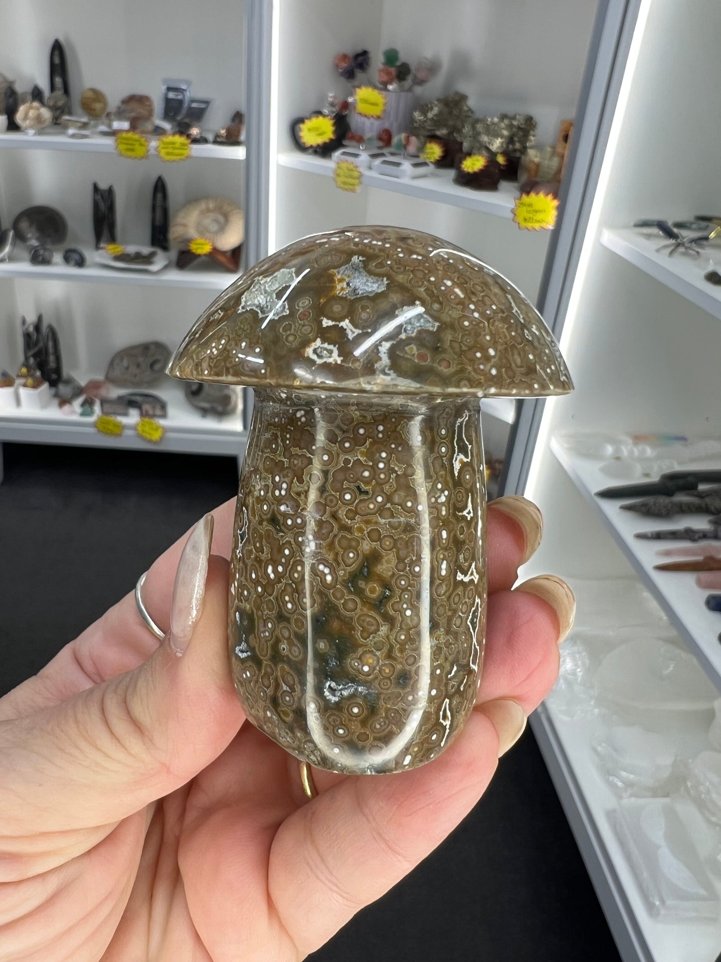 Ocean Jasper Mushroom