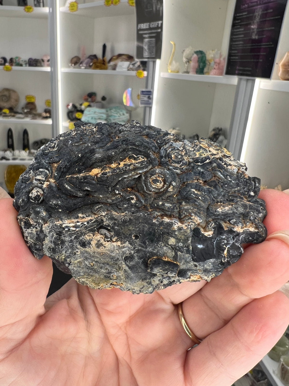 Mexican Agate Geode