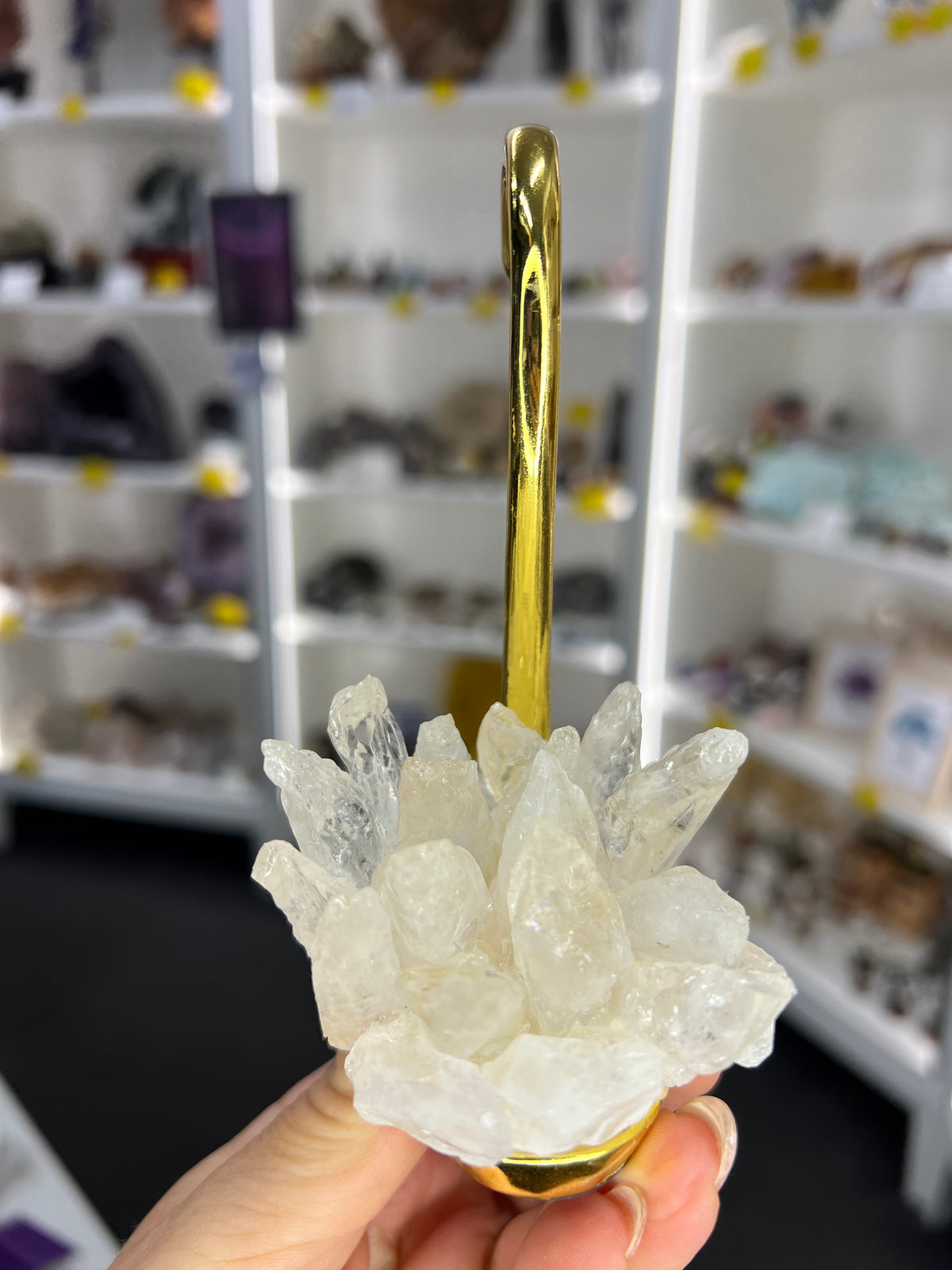 Clear Quartz Cluster on Gold Swan