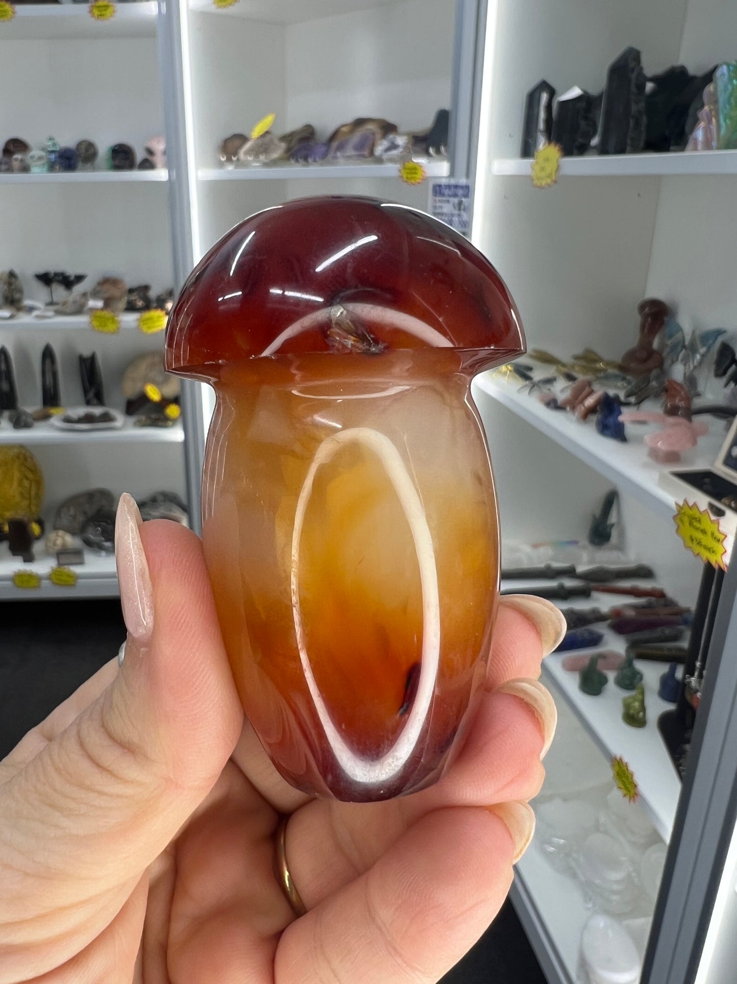 Carnelian Mushroom