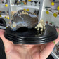 Boulder Opal with Dinosaur