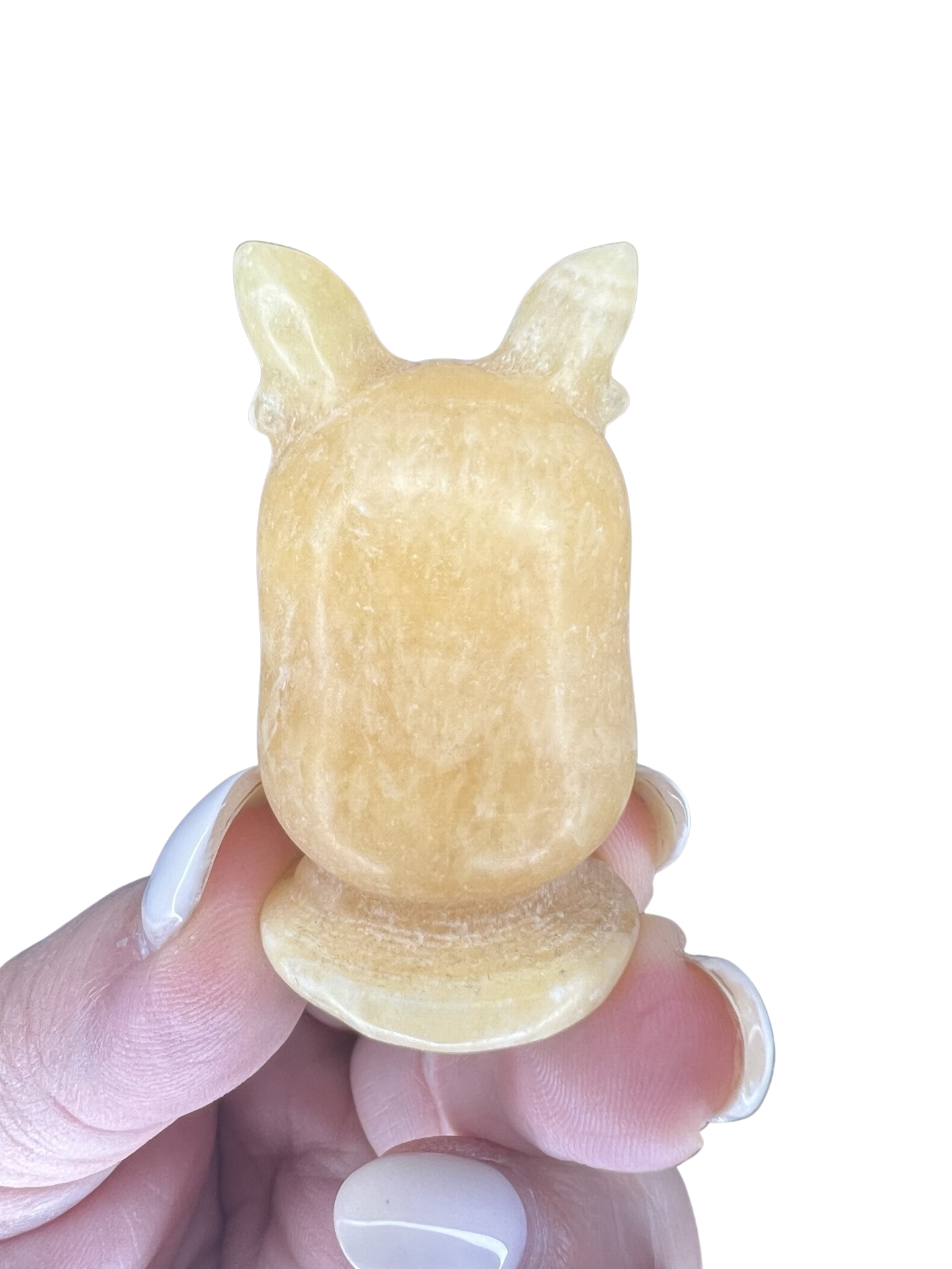 Honey Calcite Pokemon Character