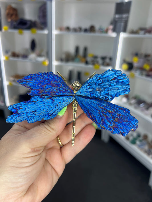 Aura Kyanite Dragonfly