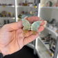 Caribbean Calcite Butterfly