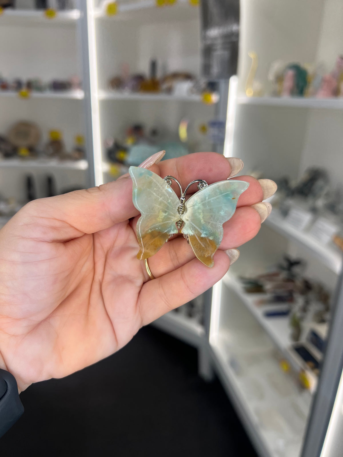 Caribbean Calcite Butterfly