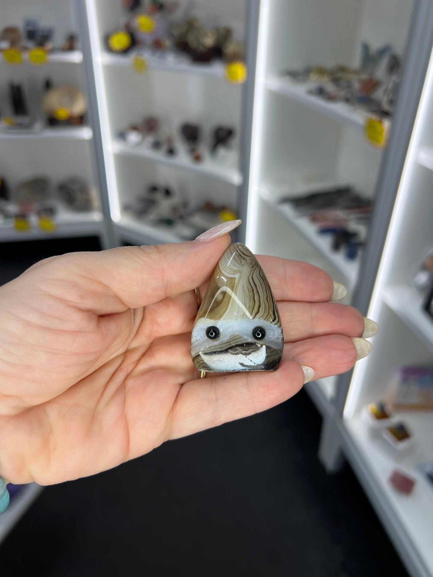 Sardonyx Little Guy