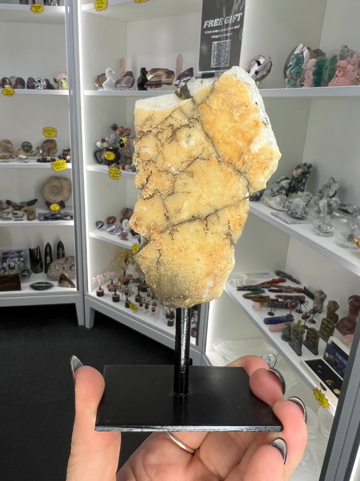 Citrine Cluster Specimen on Stand