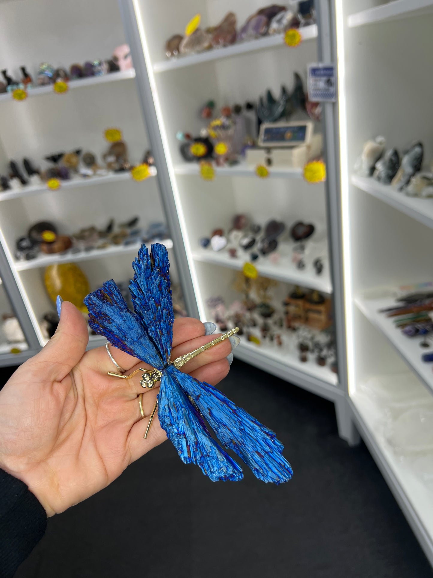 Blue Aura Kyanite Dragonfly