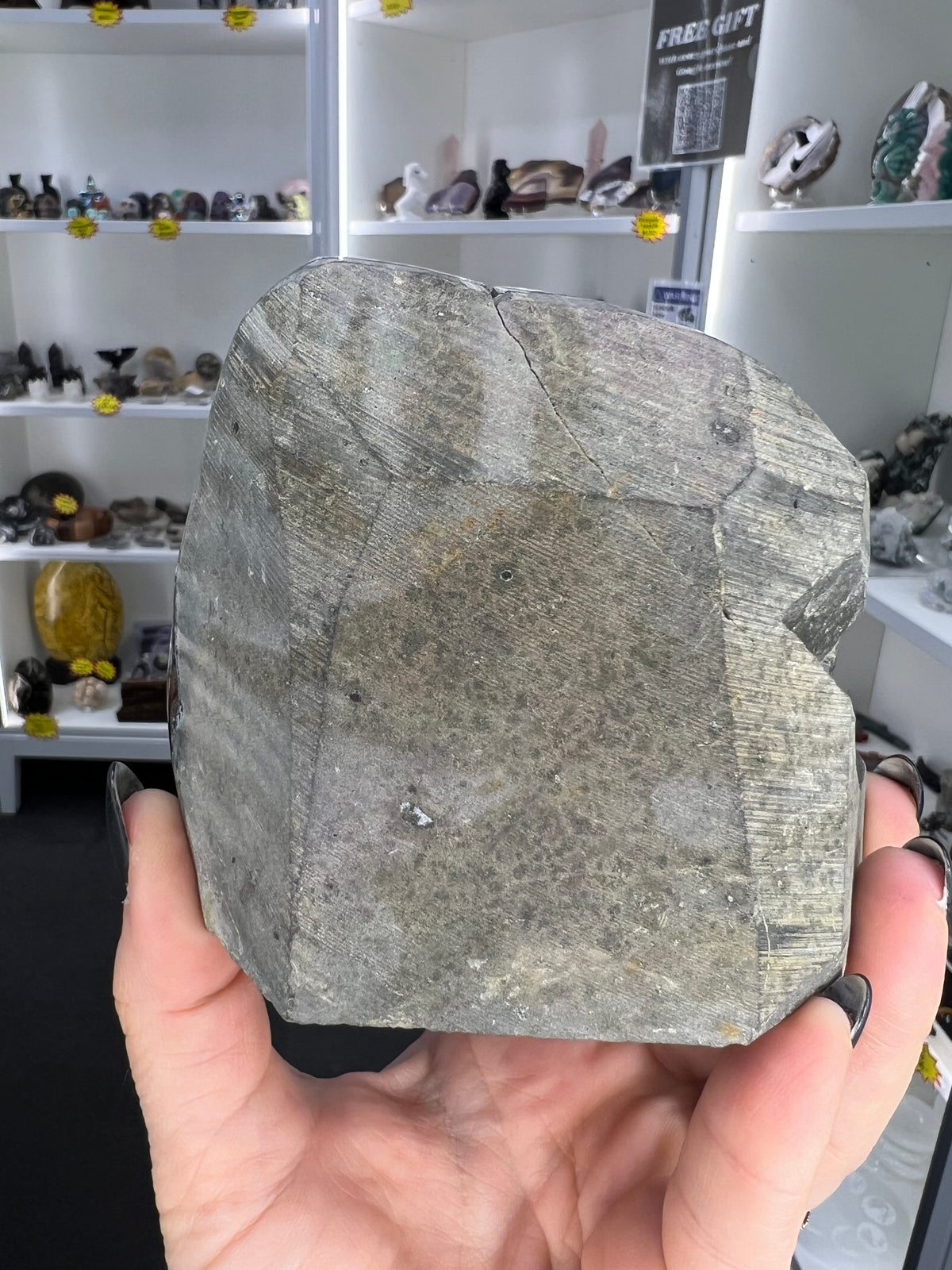 Amethyst Cluster Specimen