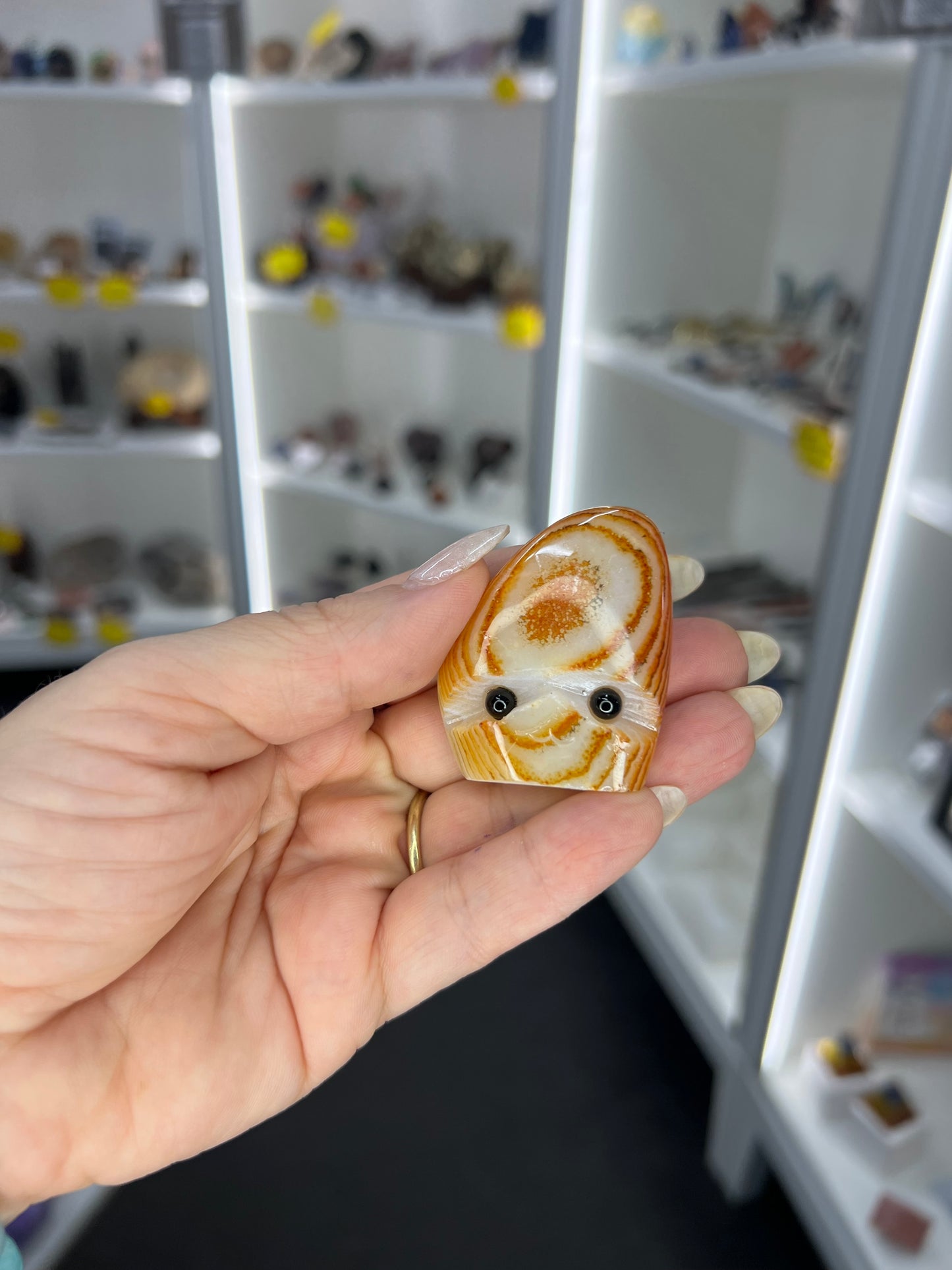 Sardonyx Little Guy
