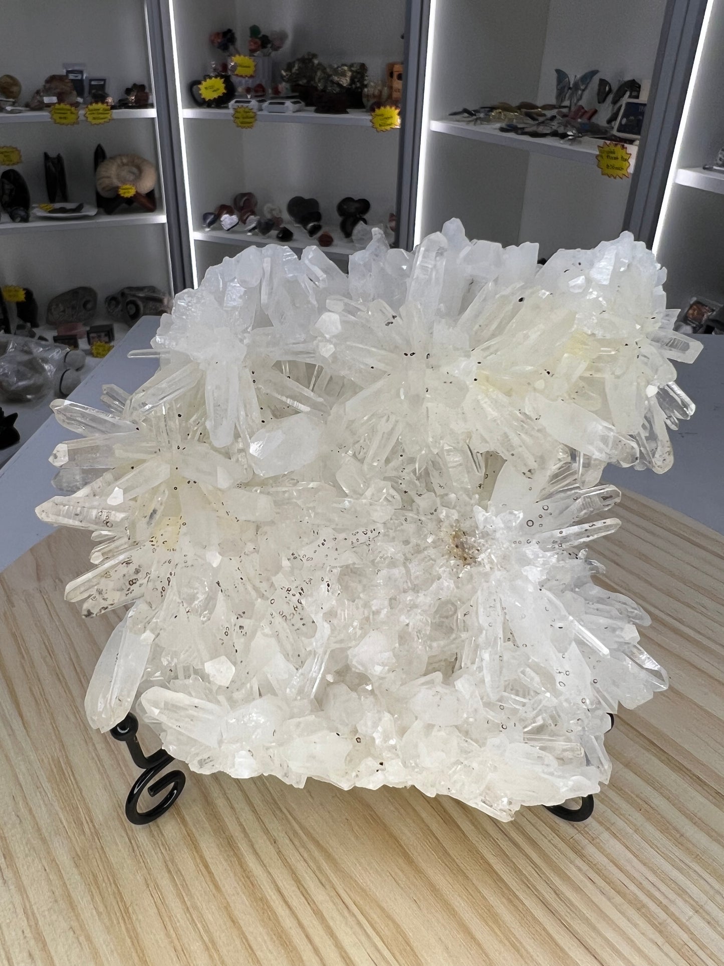 Clear Quartz Cluster on Stand