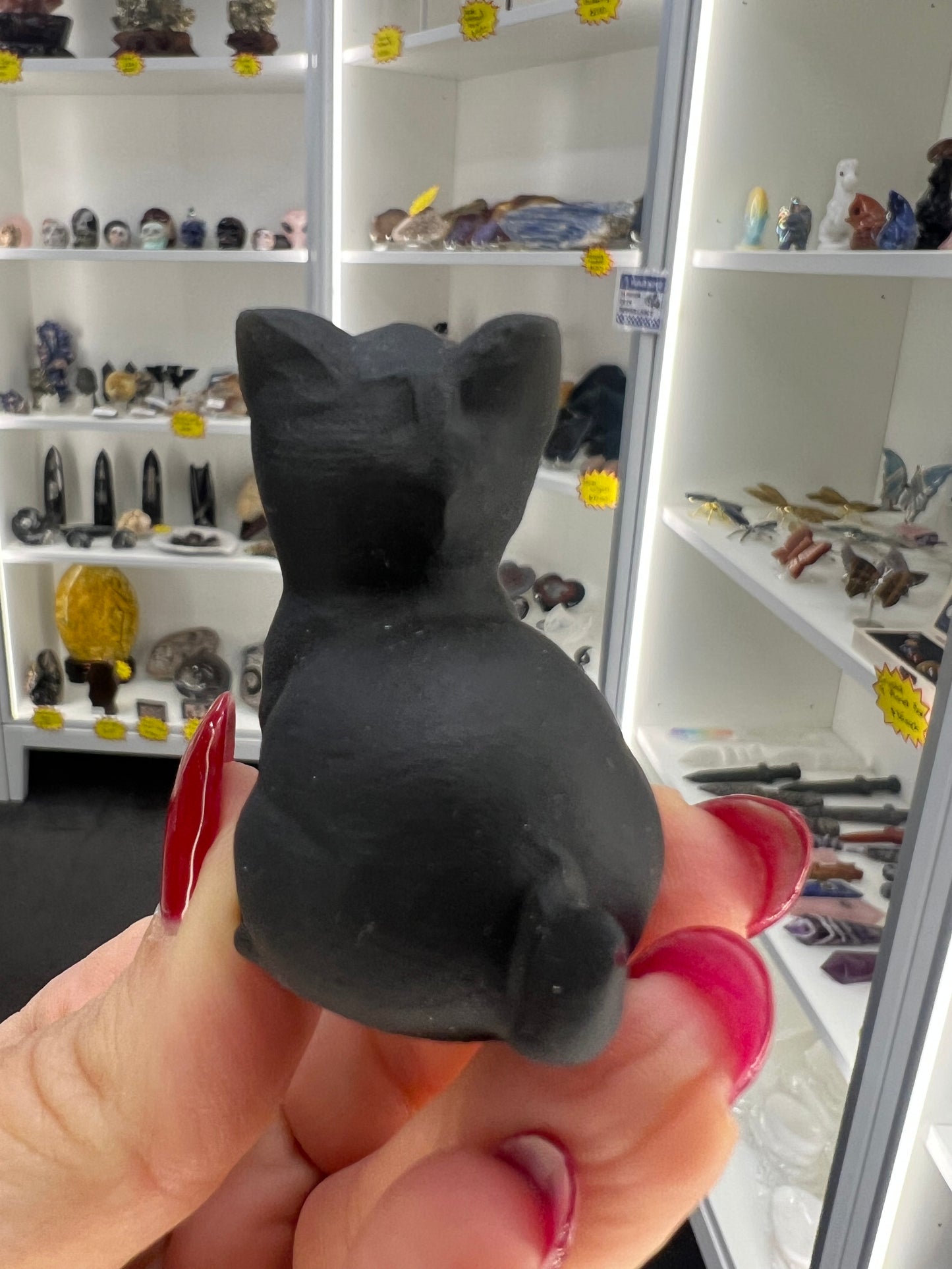 Black Obsidian Cat