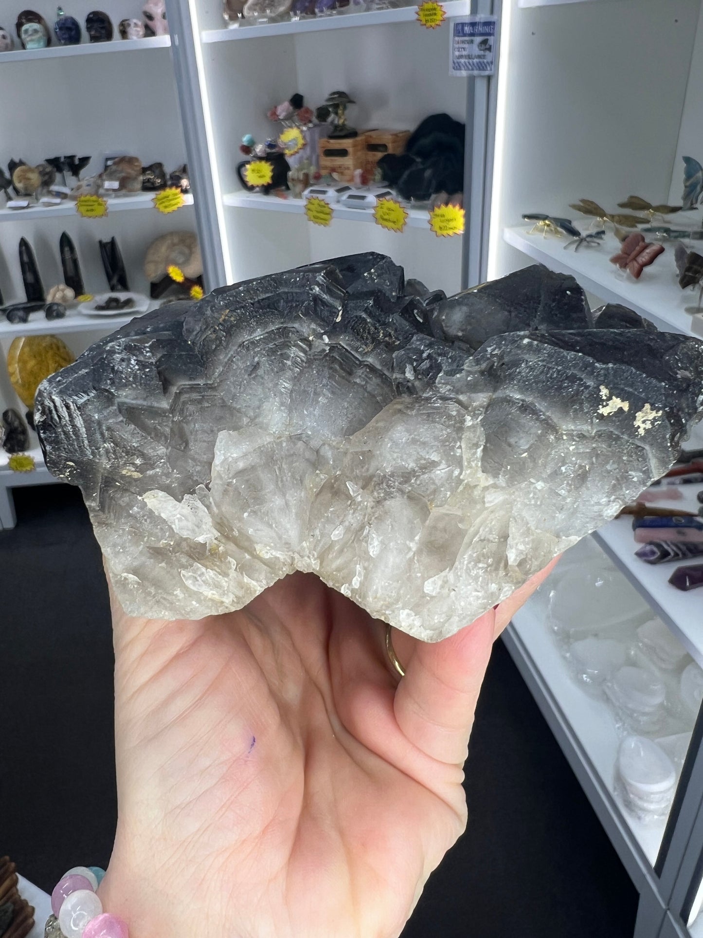 Black Quartz Cluster