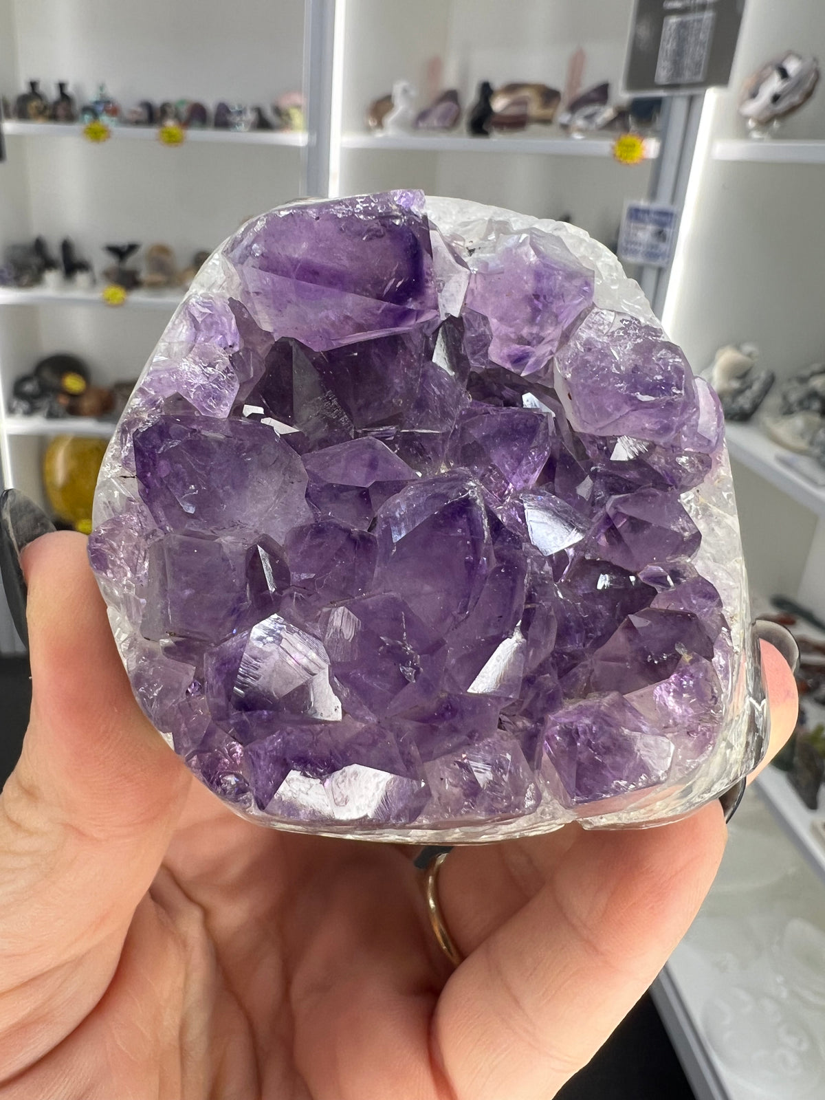 Amethyst Cluster Specimen