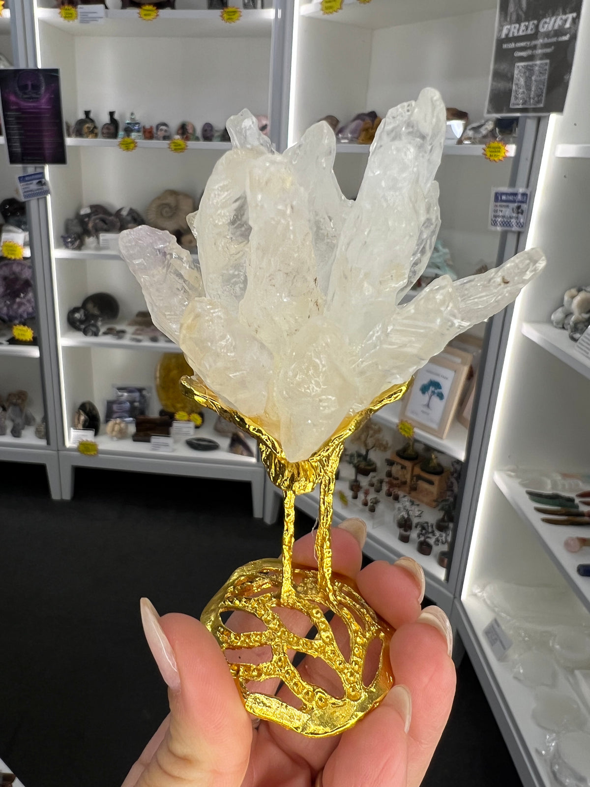 Clear Quartz Cluster on Gold Flamingo