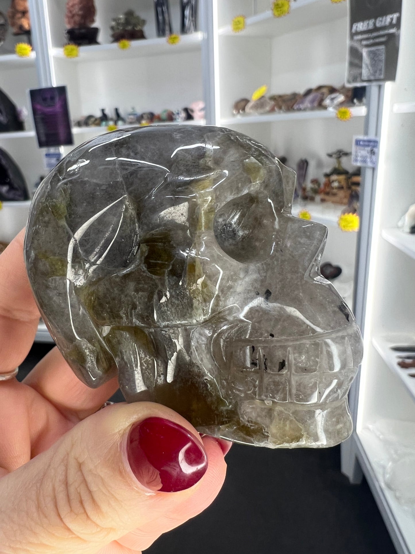 Smoky Quartz with Green Mica Skull
