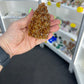 Citrine Cluster