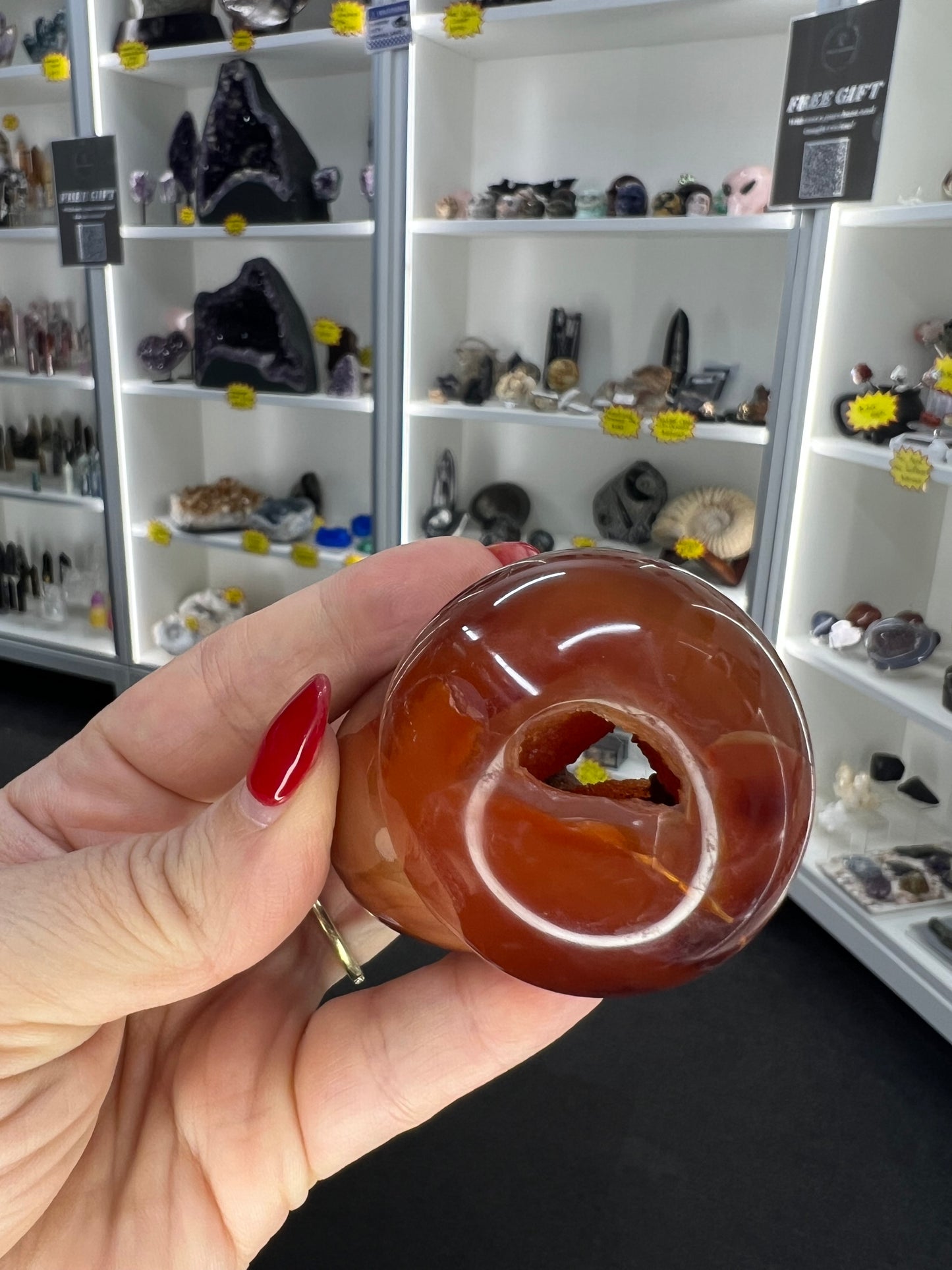 Carnelian Mushroom