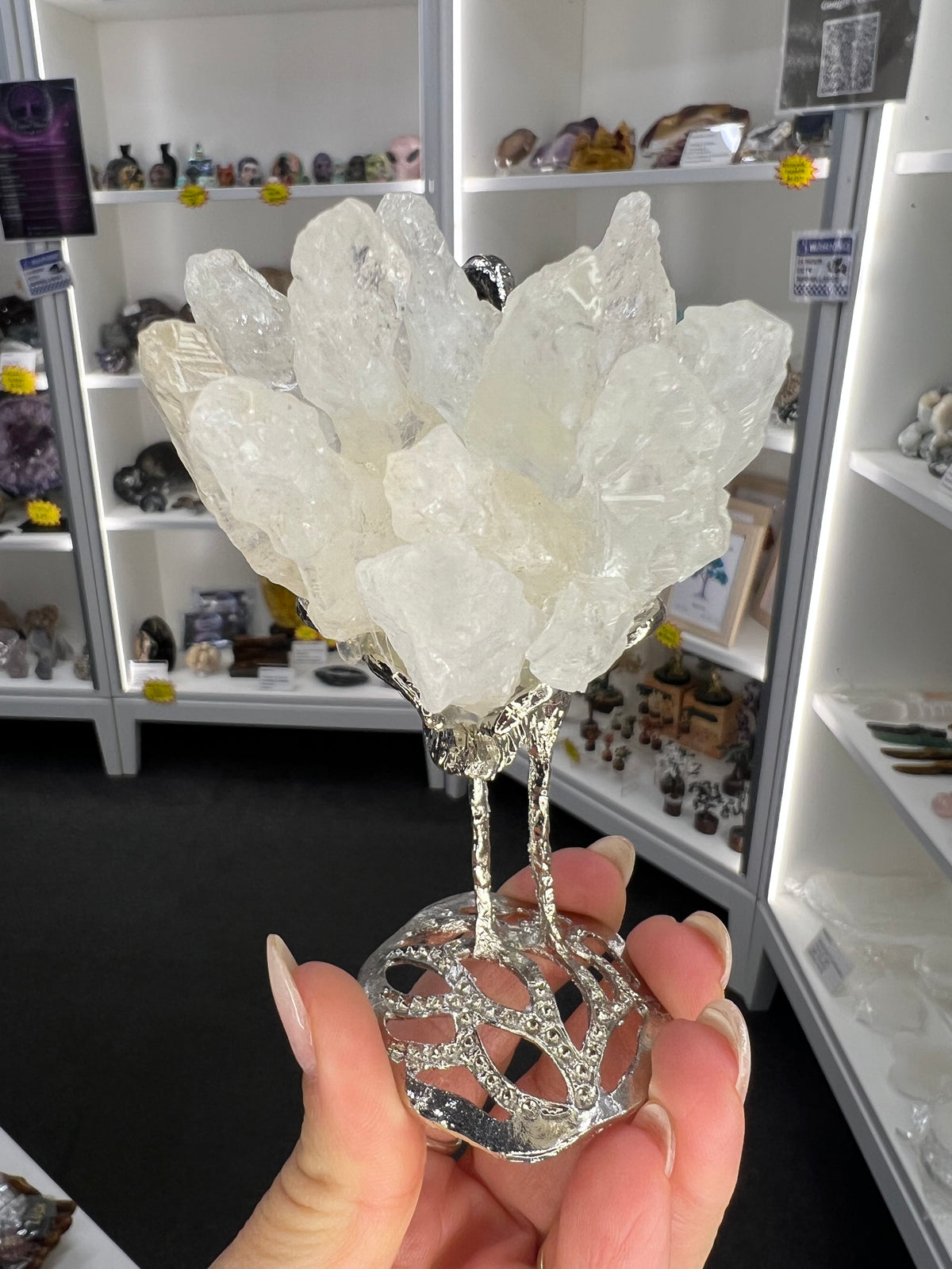Clear Quartz Cluster on Silver Flamingo