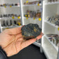 Black Tourmaline with Golden Mica Specimen