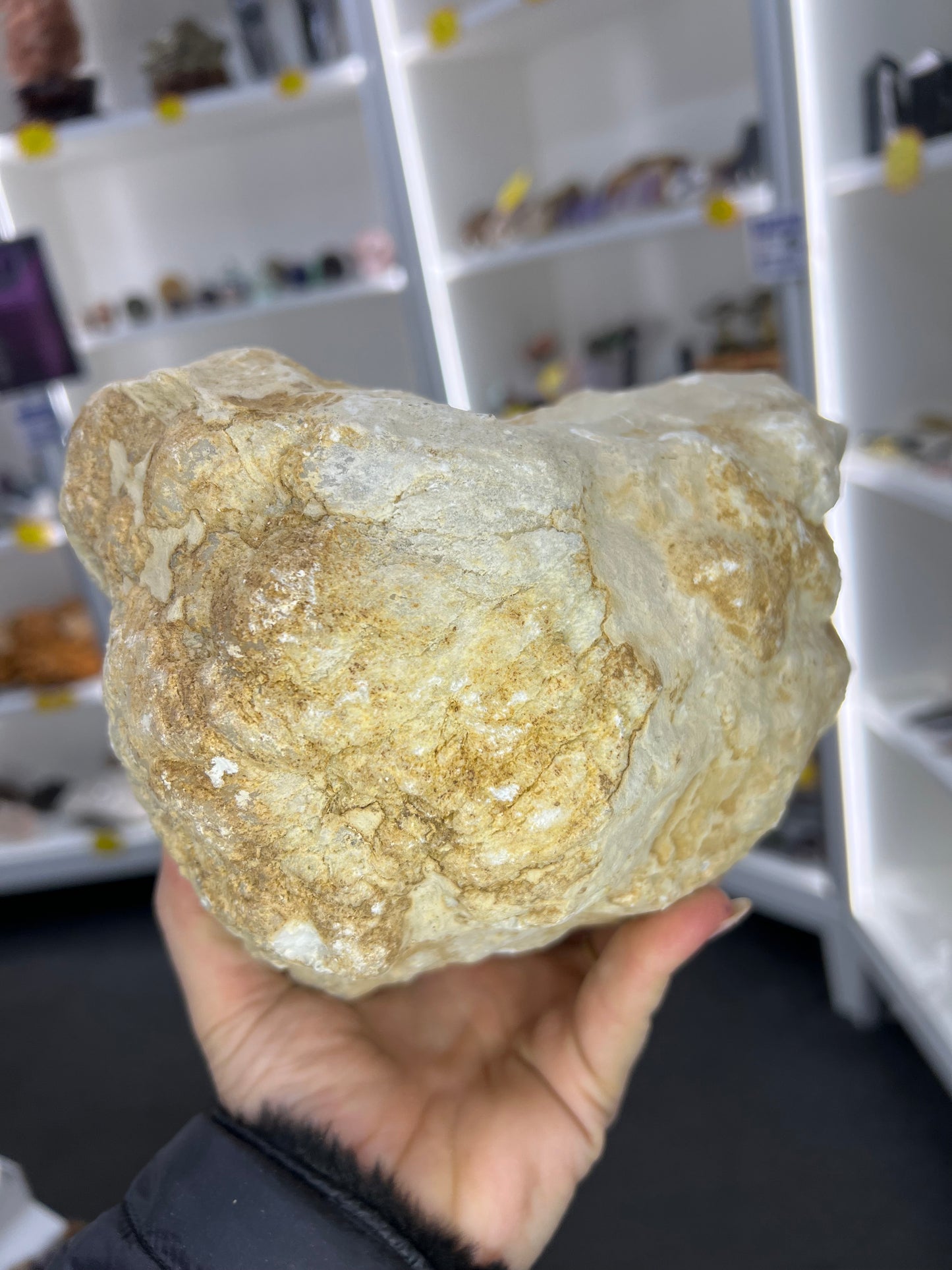 Quartz Geode Specimen
