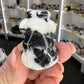 Zebra Jasper Cow