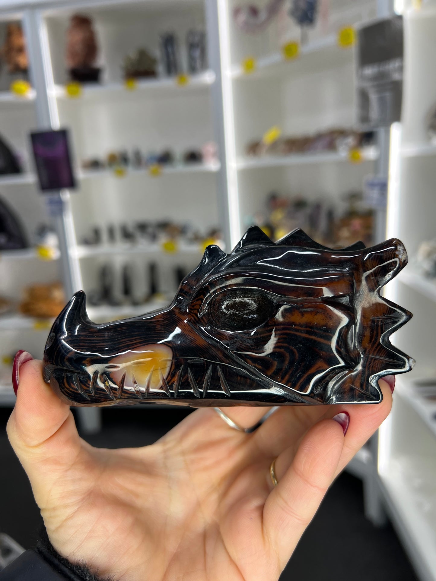 Sardonyx Dragon Skull