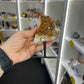 Citrine Cluster Specimen on Stand