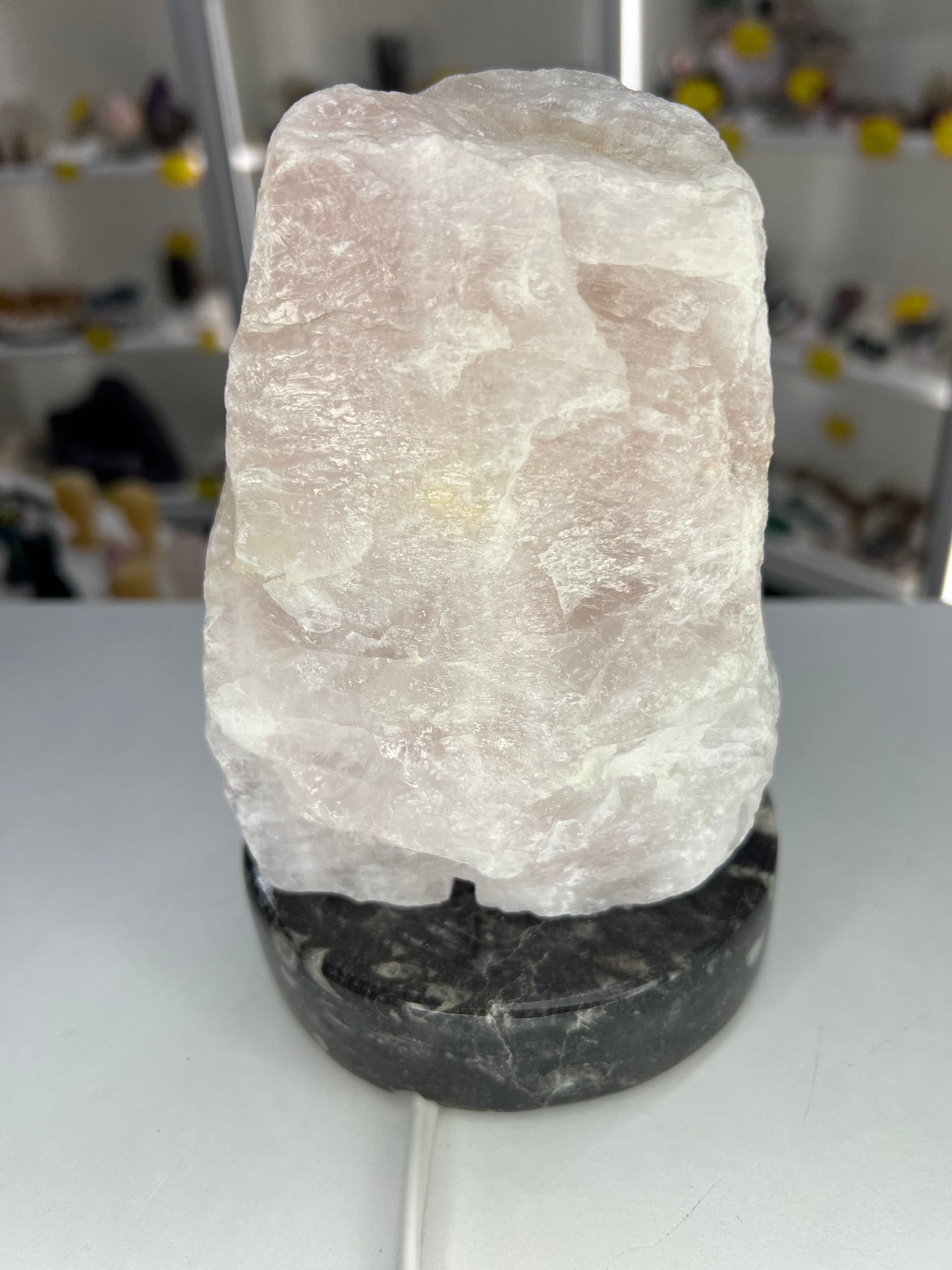 Rose Quartz Lamp on Fossil Orthoceras Base