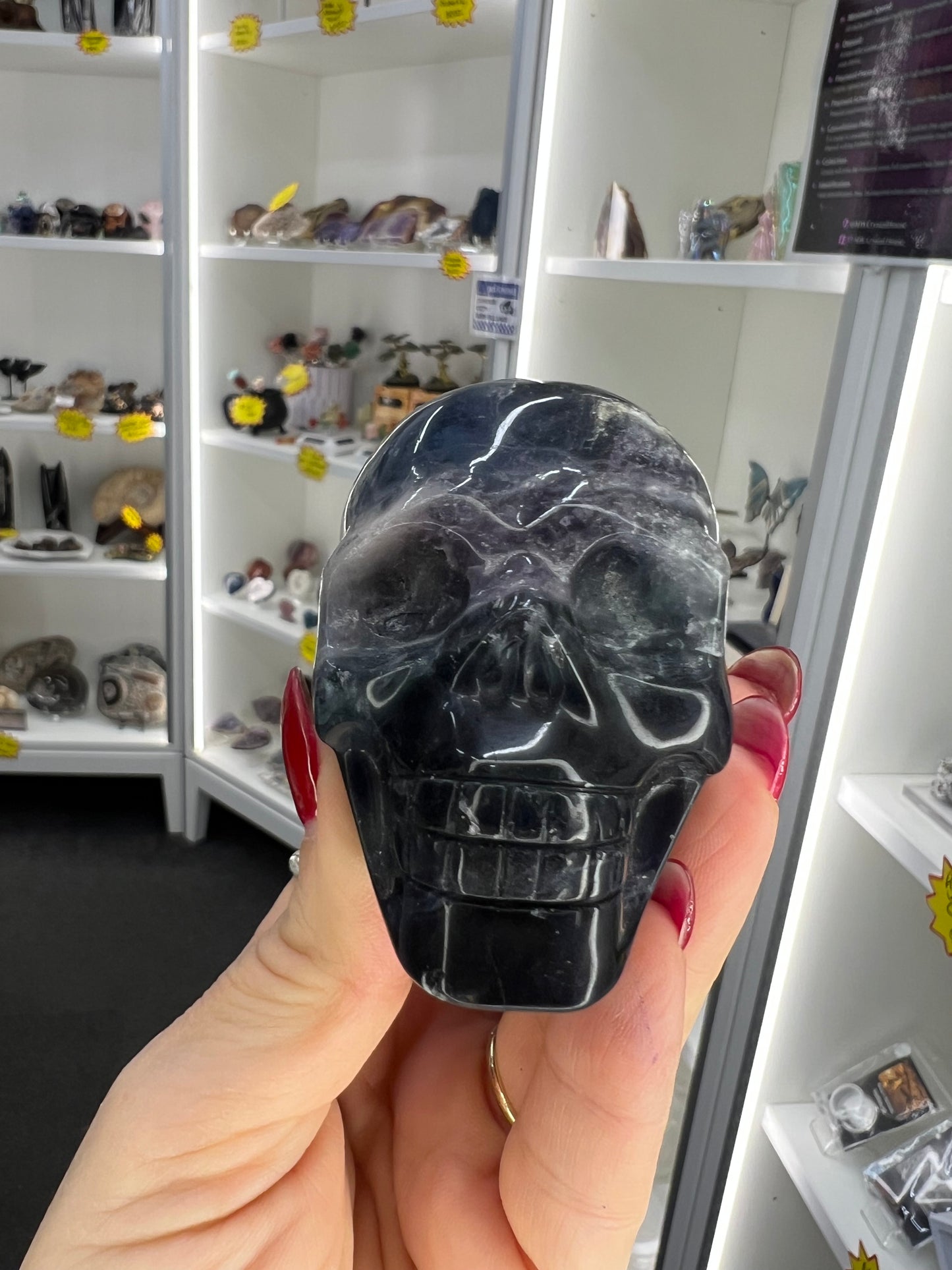 Black Fluorite Skull (UV Reactive)