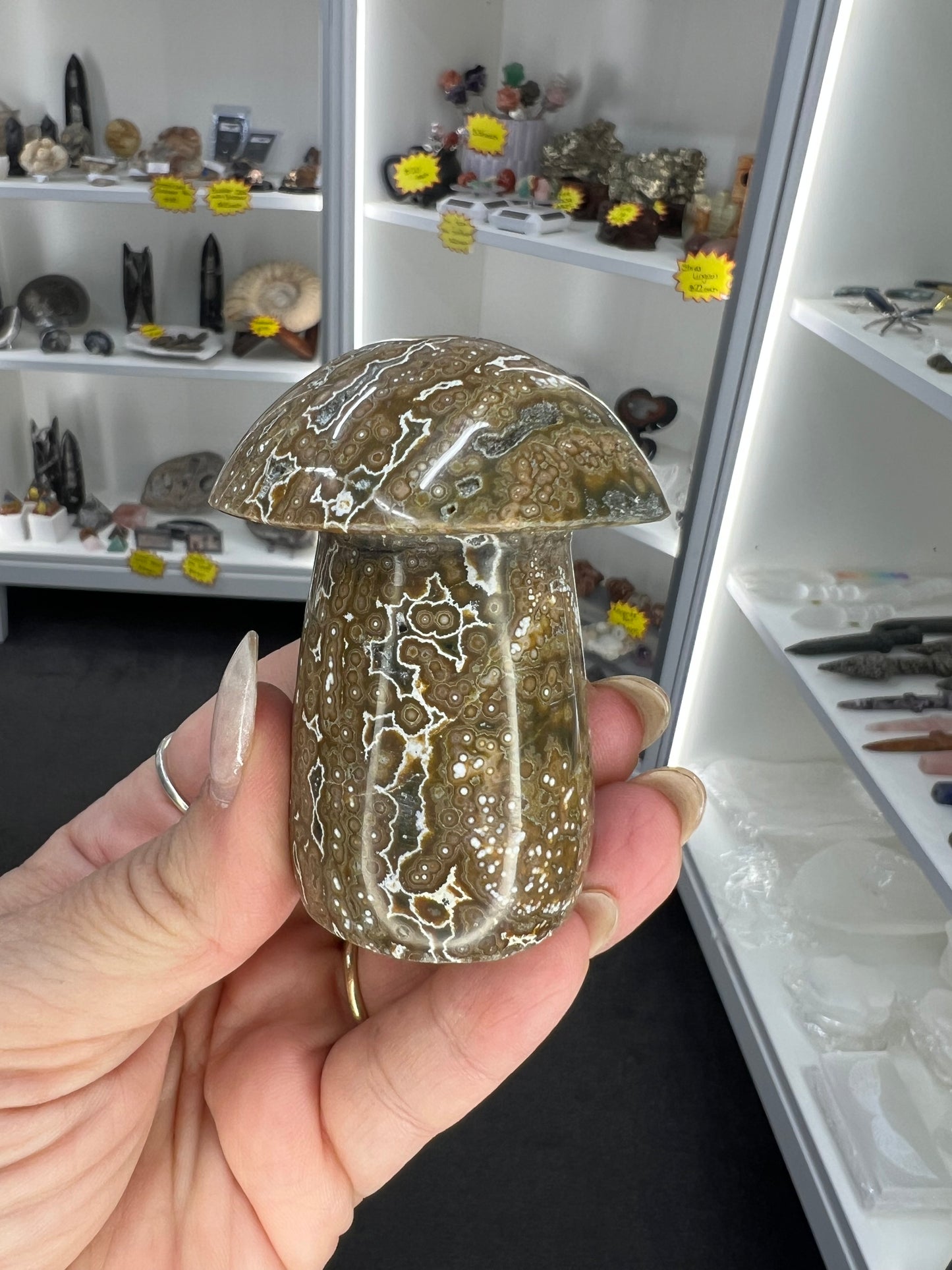 Ocean Jasper Mushroom